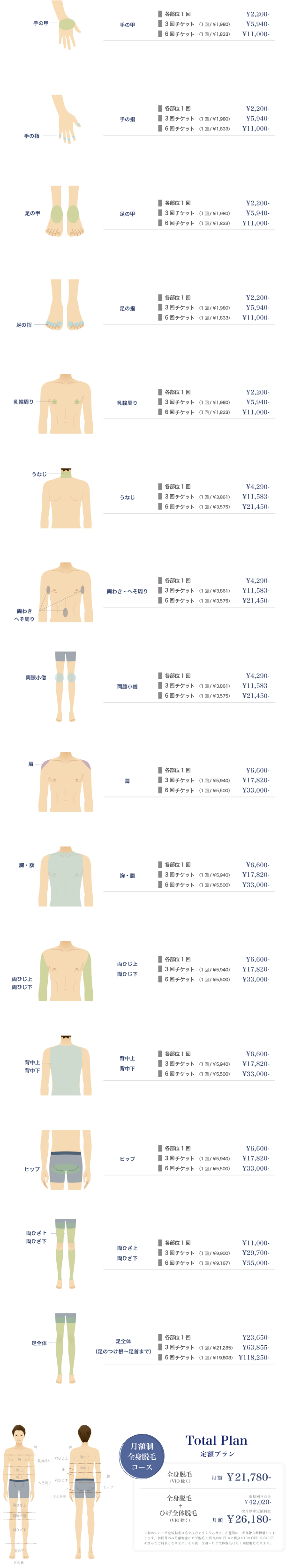 Body (体の部位)